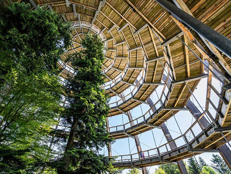 umgebung-freyung-baumei