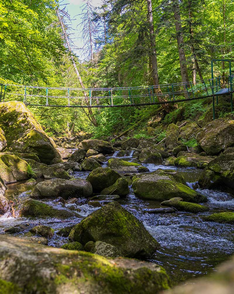 umgebung-freyung-natur3