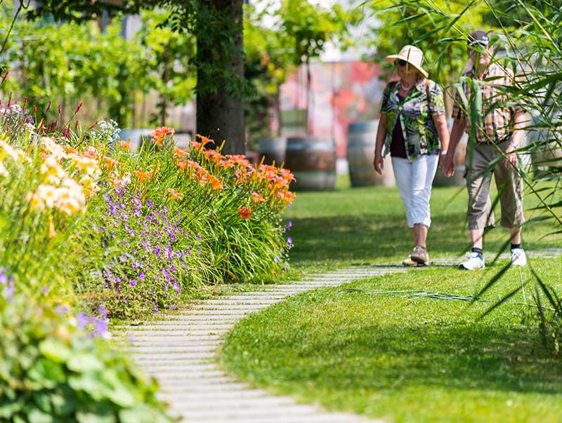 landesgartenschau-musik-in-bayern-quer