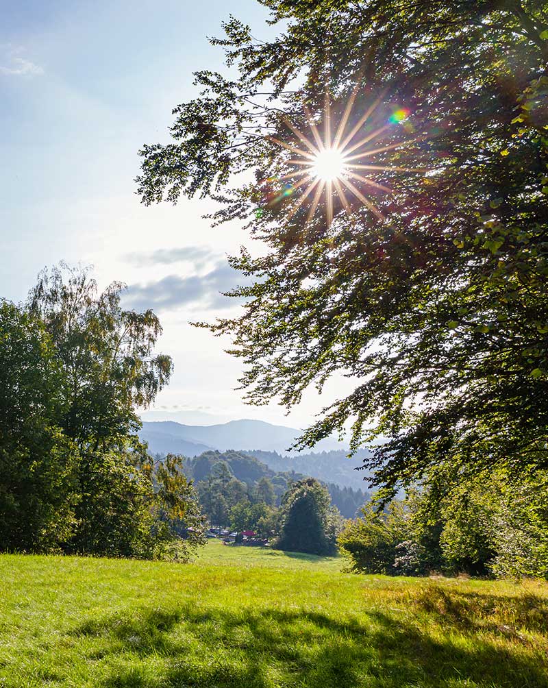 natur-musik-in-bayern-hoch
